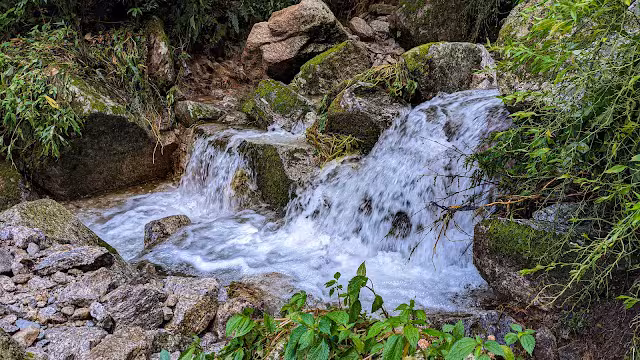Home falls